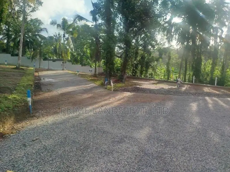 හෝමාගම බිම් කොටස් විකිණීමට ..