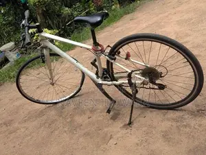Mountain Bicycle