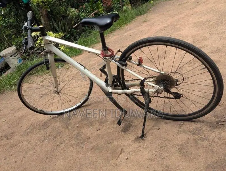 Mountain Bicycle