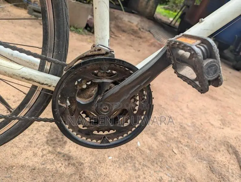 Mountain Bicycle