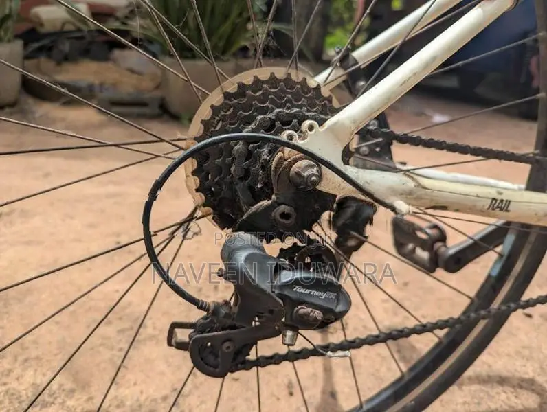 Mountain Bicycle