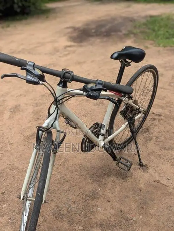 Mountain Bicycle