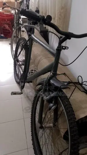 පාපැදිය