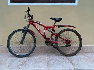 Mountain Bicycle