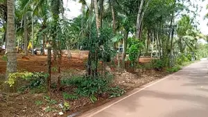 Easy Access to Negombo Main Road – Kandana Batagama Land