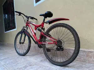 Mountain Bicycle