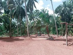 Kotadineyawa Land for Sale