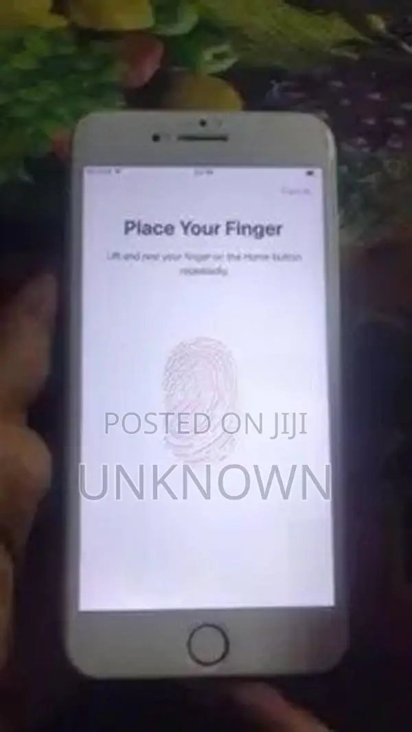 Apple iPhone 7 Plus (Used)