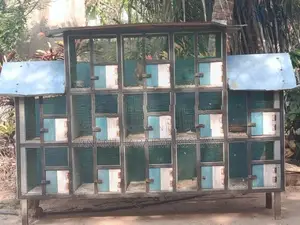 Bird Cage