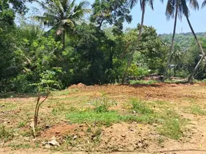 40 Perches Land for Sale in Badulla