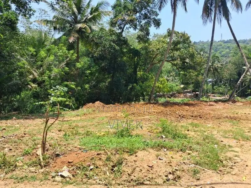 40 Perches Land for Sale in Badulla