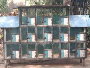Bird Cage