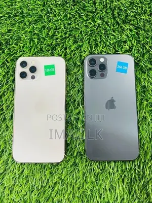 Apple iPhone 12 Pro 256GB (Used)