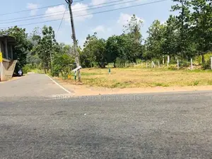 A9 පාරට සමීපයෙන් සින්නක්කර බිම්කොටස් විකිණීමට පන්නම්පිටිය