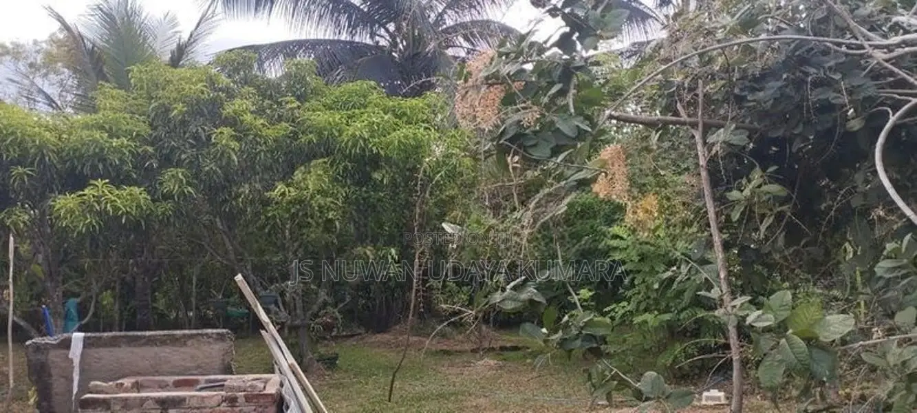 නිවසක් සමඟ ඉඩමක් තිකුනාමලෙ