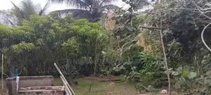 නිවසක් සමඟ ඉඩමක් තිකුනාමලෙ