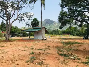 A9 පාරට සමීපයෙන් සින්නක්කර බිම්කොටස් විකිණීමට පන්නම්පිටිය