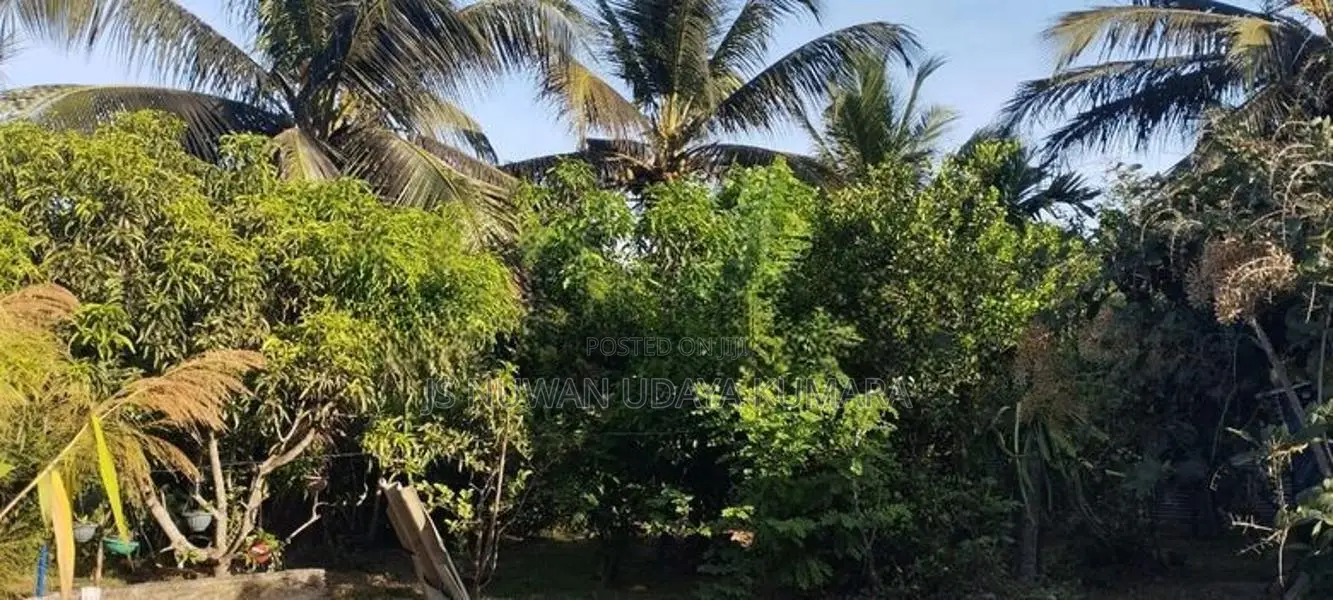 නිවසක් සමඟ ඉඩමක් තිකුනාමලෙ