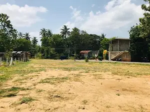 A9 පාරට සමීපයෙන් සින්නක්කර බිම්කොටස් විකිණීමට පන්නම්පිටිය
