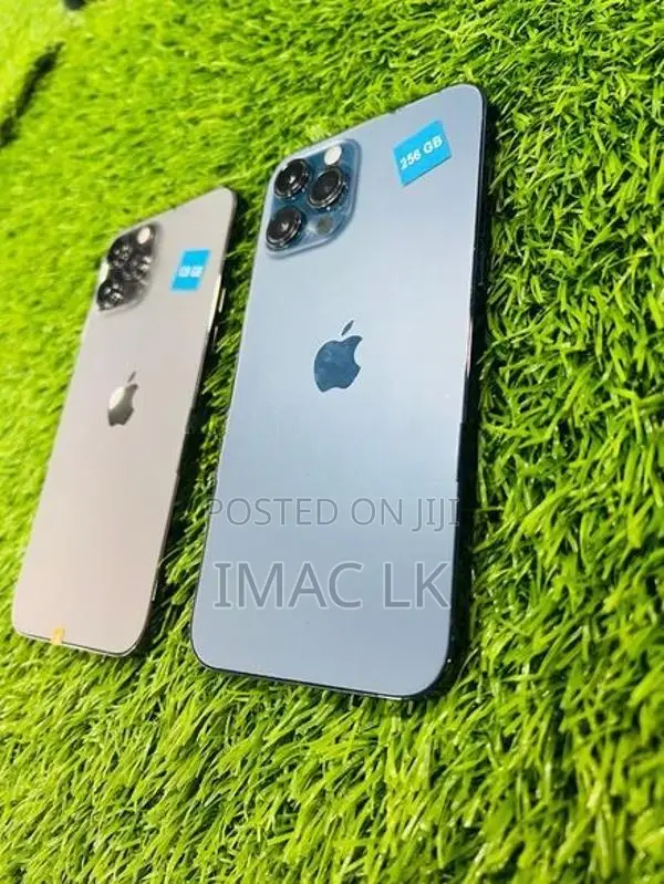 Apple iPhone 12 Pro Max 256GB (Used)