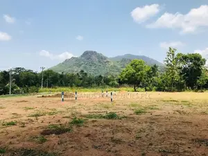 A9 පාරට සමීපයෙන් සින්නක්කර බිම්කොටස් විකිණීමට පන්නම්පිටිය