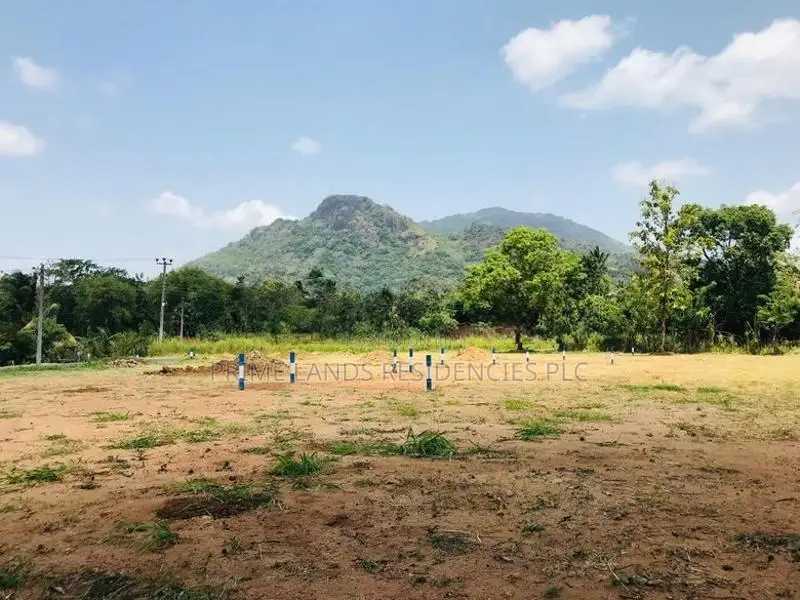 A9 පාරට සමීපයෙන් සින්නක්කර බිම්කොටස් විකිණීමට පන්නම්පිටිය
