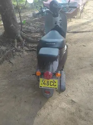 Honda Today 2024