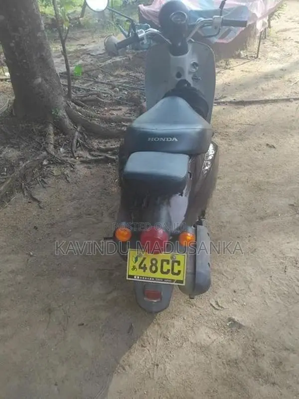 Honda Today 2024