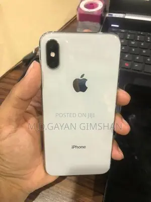 Apple iPhone X 256GB (Used)