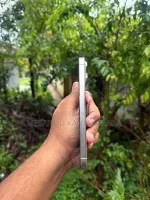 Apple iPhone 15 Pro Max (Used)