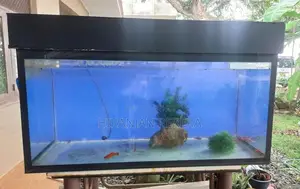Fish Tank