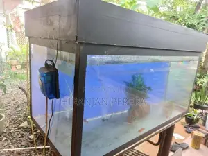 Fish Tank