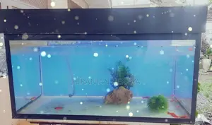 Fish Tank