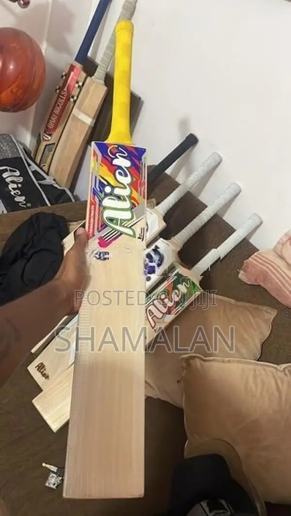 Cricket Bat