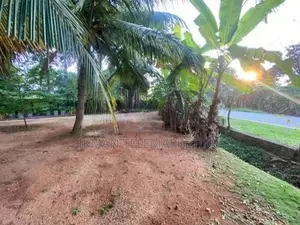 Restaurant with Land for Lease Long Term in Sigiriya