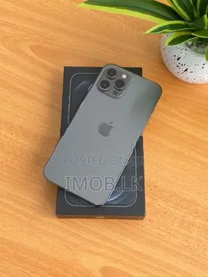 Apple iPhone 12 Pro Max 128GB (Used)