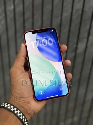 Apple iPhone 12 (Used)