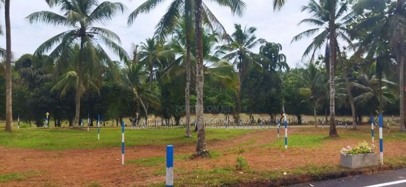 වේයන්ගොඩ බිම් කොටසක් විකිණීමට