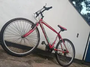 Mountain Bicycle