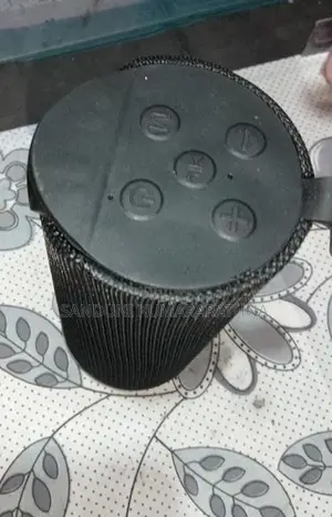 Portable Wireless Speaker