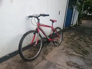 Mountain Bicycle