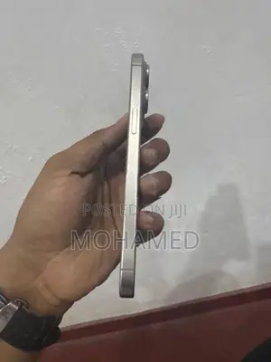 Apple iPhone 15 Pro Max 256GB (Used)