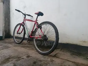 Mountain Bicycle