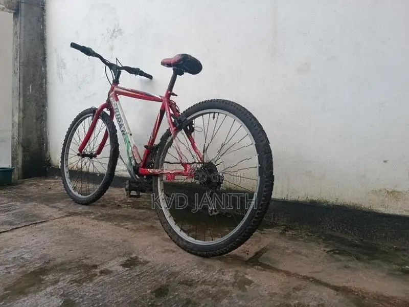 Mountain Bicycle