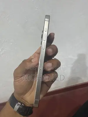 Apple iPhone 15 Pro Max 256GB (Used)