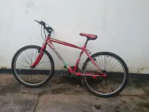 Mountain Bicycle