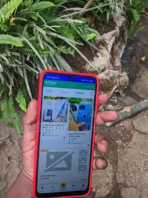 Realme C55 (Used)