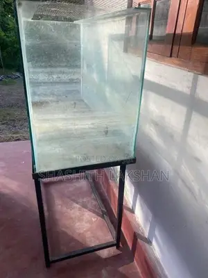 Fish Tank