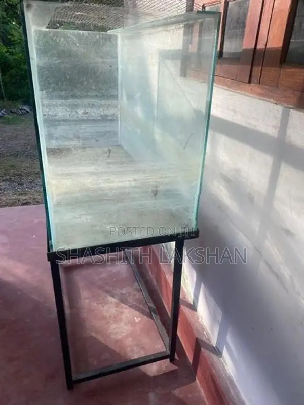 Fish Tank