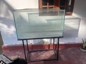 Fish Tank